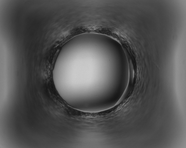 X0000087021349200704161554