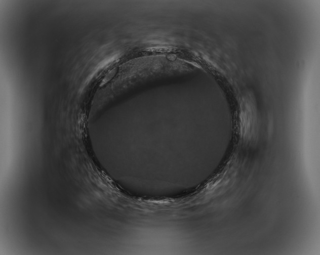X0000087021351200704161554