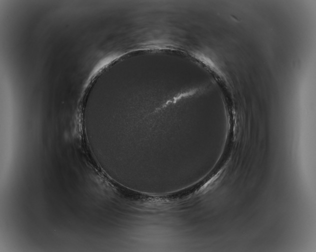 X0000087021358200704161554