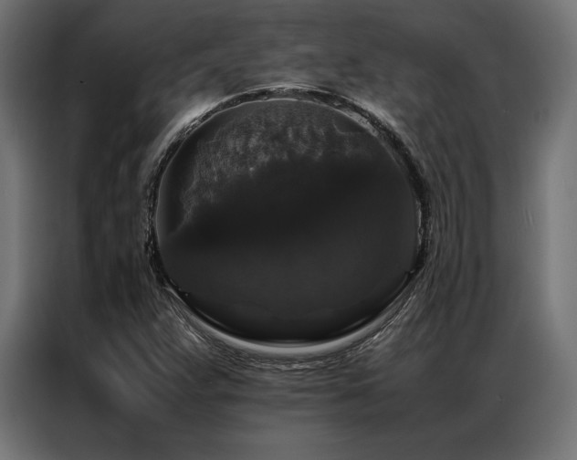 X0000087021359200704161554