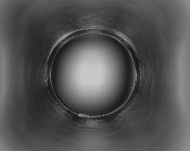 X0000087021364200704161553