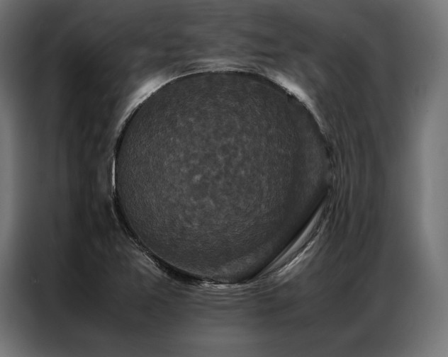 X0000087021365200704161553