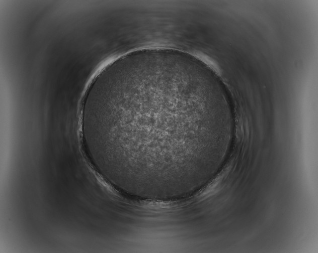 X0000087021366200704161553