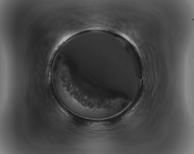 X0000087021367200704161553