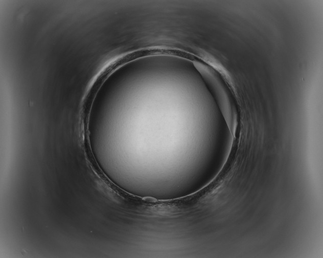 X0000087021368200704161553