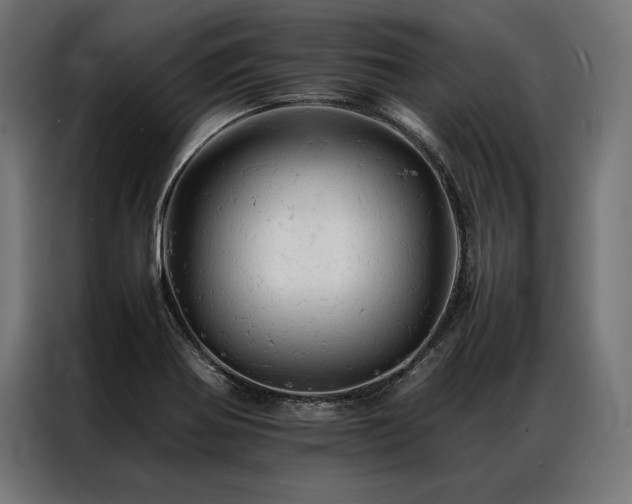 X0000087021370200704161553