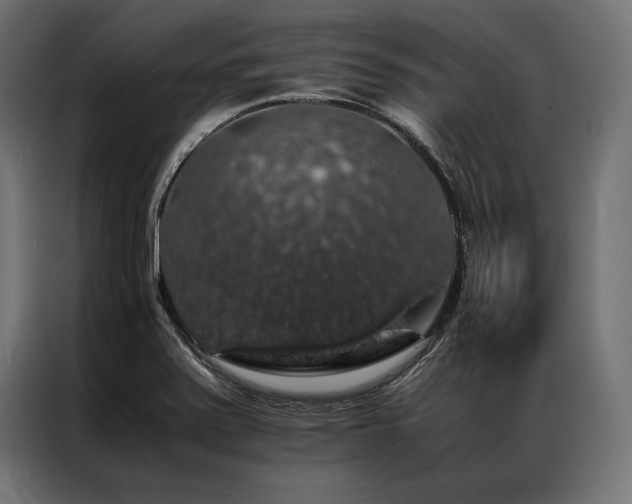 X0000087021371200704161553