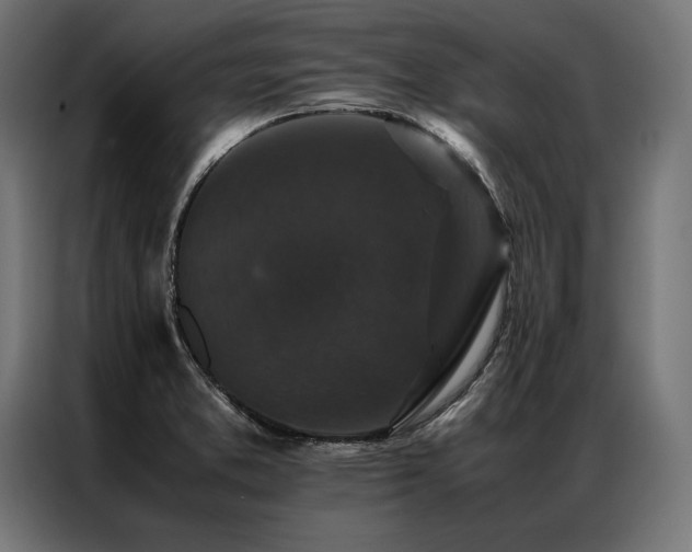 X0000087021373200704161553