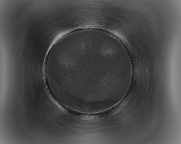 X0000087021374200704161553