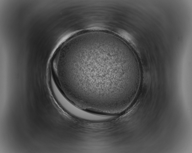 X0000087021376200704161553