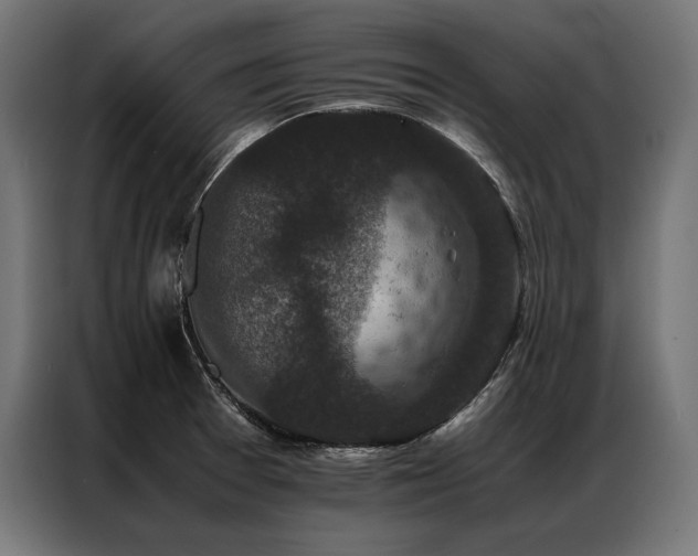 X0000087021377200704161553