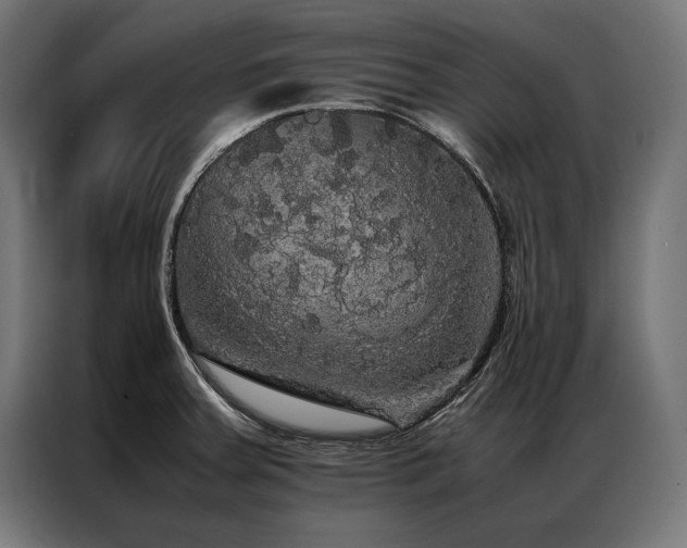 X0000087021379200704161553