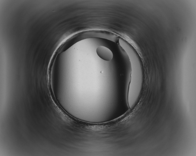 X0000087021380200704161553