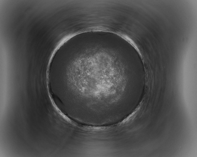 X0000087021381200704161553