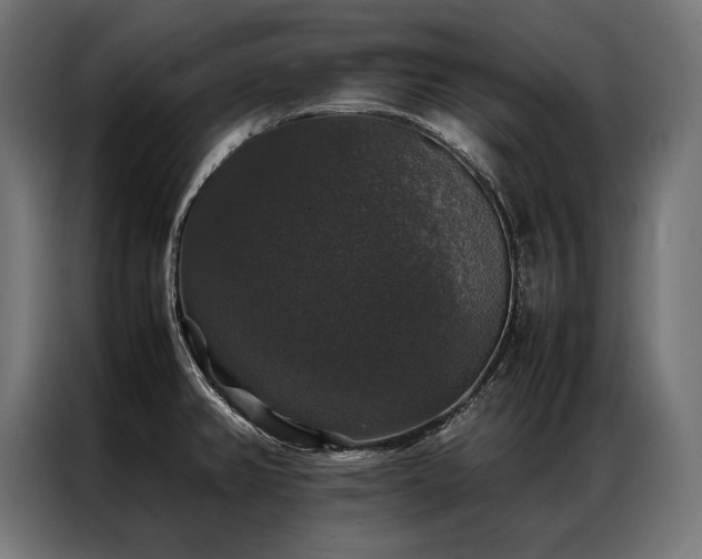 X0000087021382200704161553