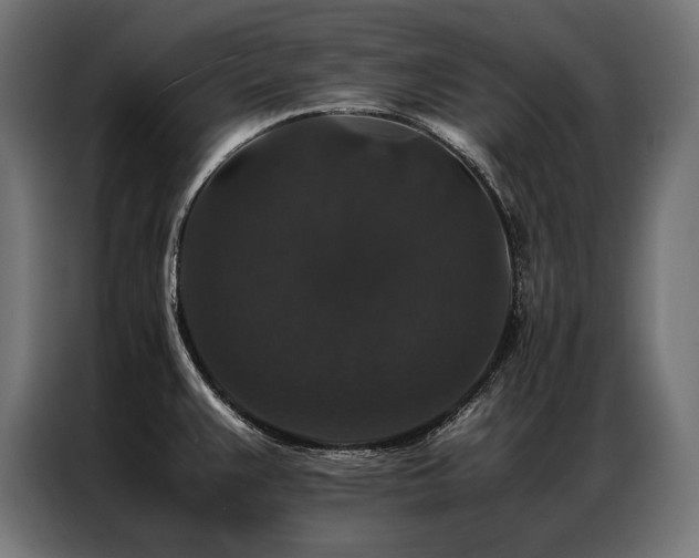 X0000087021383200704161553