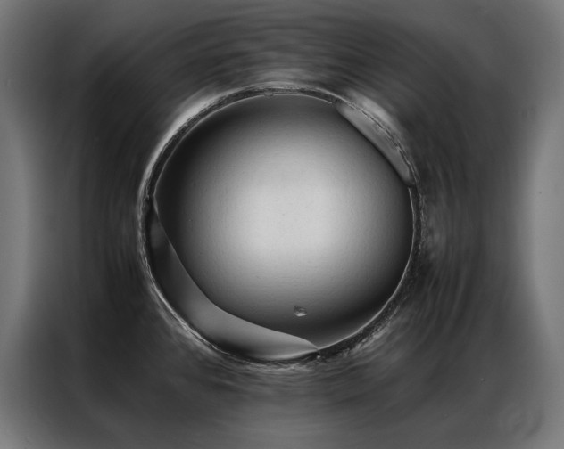 X0000087021384200704161553