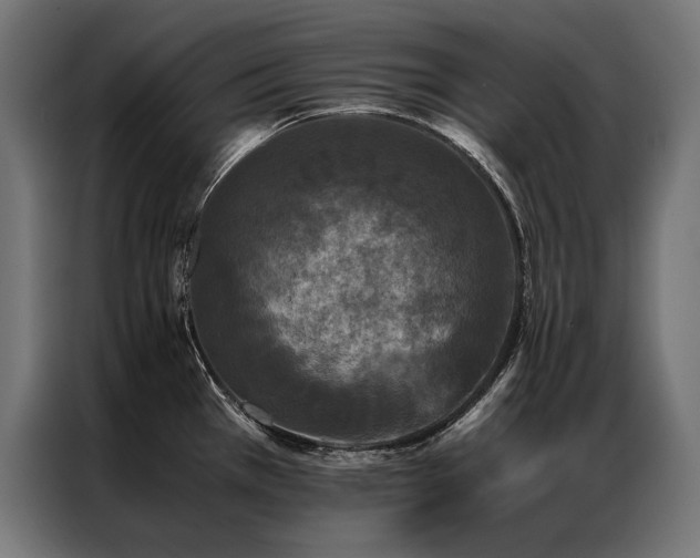 X0000087021385200704161553