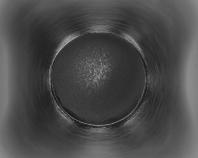X0000087021386200704161553
