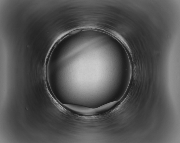 X0000087021388200704161553