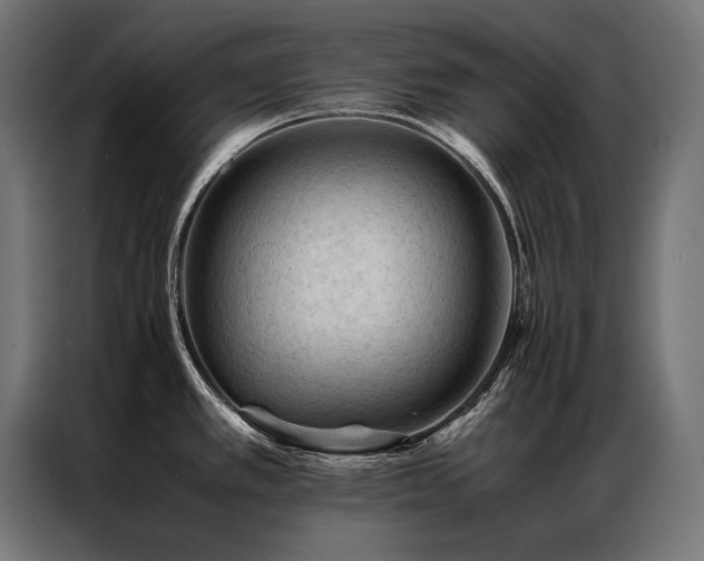 X0000087021389200704161553