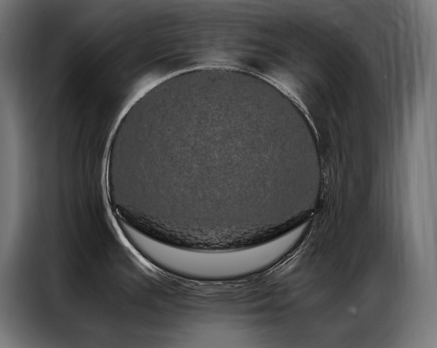 X0000087021391200704161553