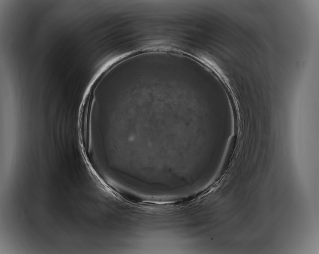 X0000087021392200704161553