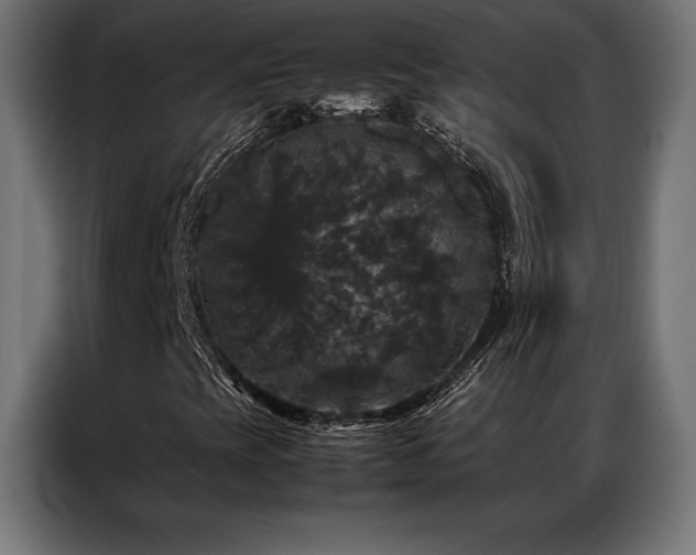 X0000087021393200704161553
