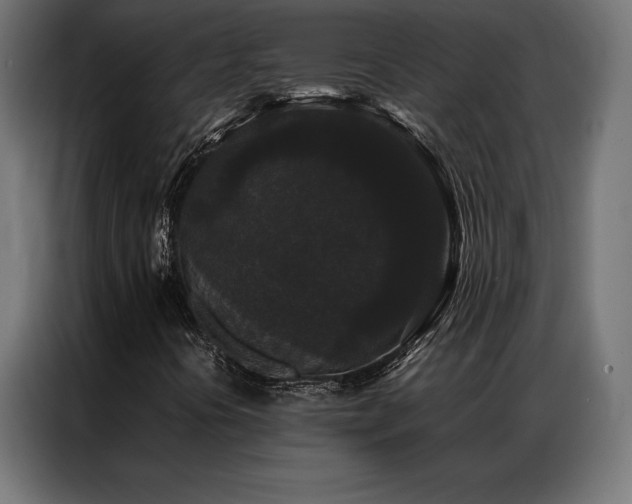 X0000087021394200704161553