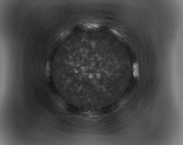 X0000087021395200704161553
