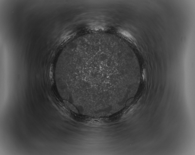 X0000087021396200704161553