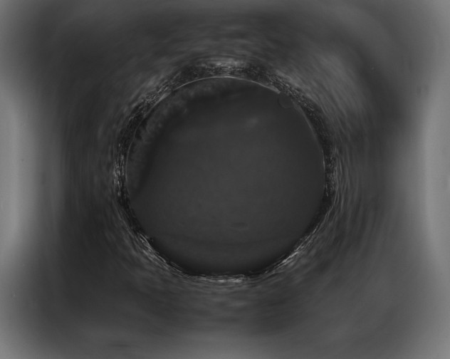 X0000087021397200704161553