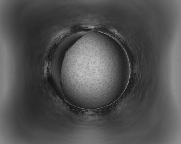 X0000087021398200704161553