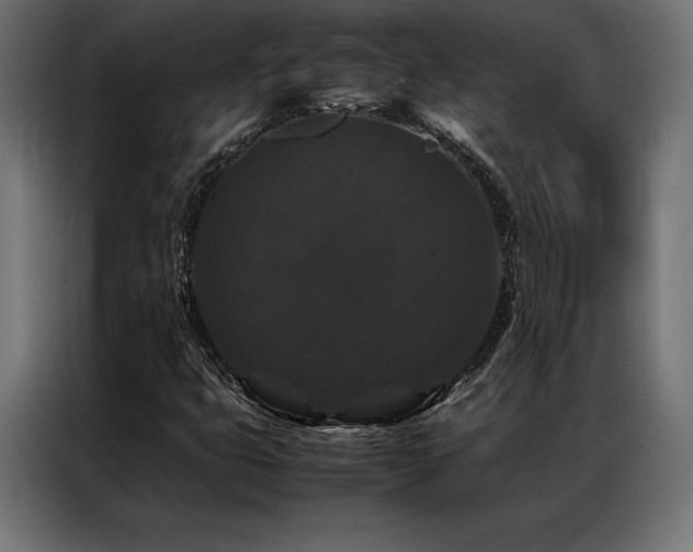 X0000087021399200704161553
