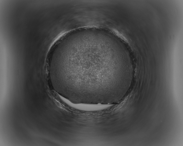 X0000087021400200704161553