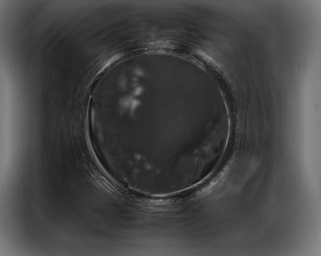 X0000087021401200704161553