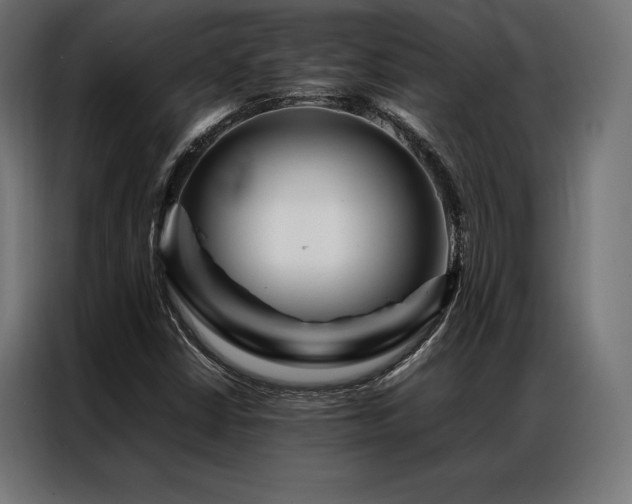 X0000087021402200704161553