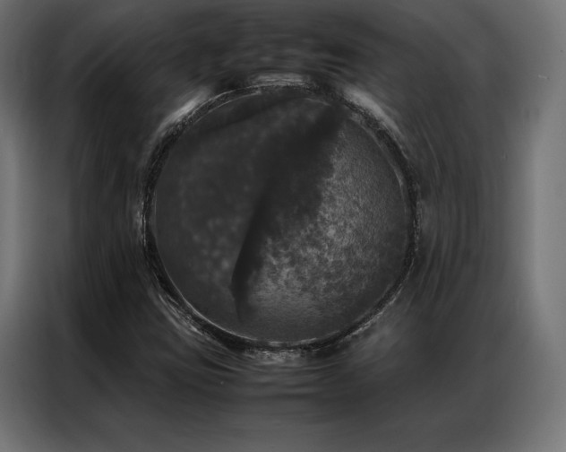 X0000087021403200704161553