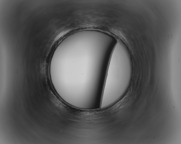 X0000087021404200704161553