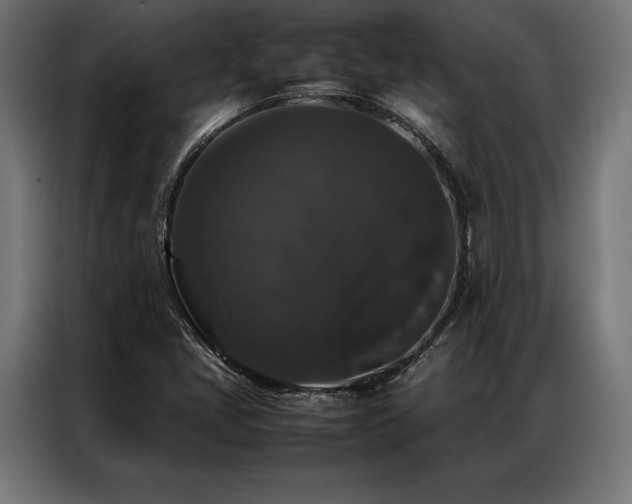 X0000087021405200704161553