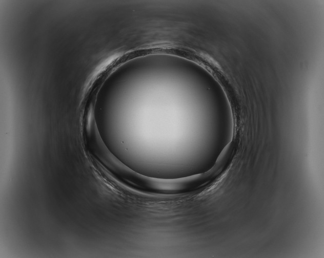 X0000087021406200704161553