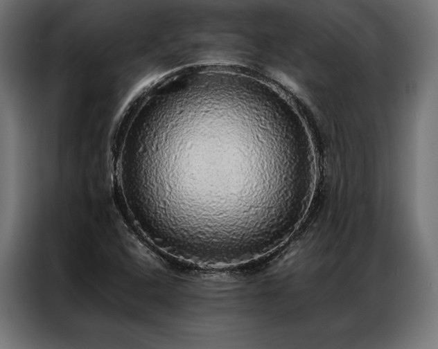 X0000087021408200704161553