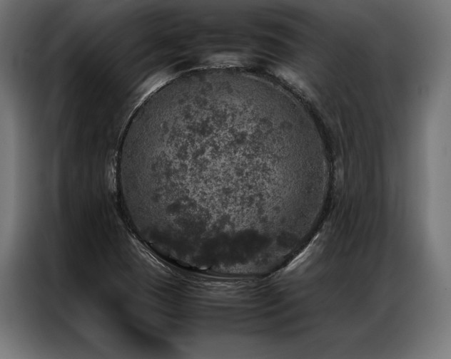 X0000087021409200704161553