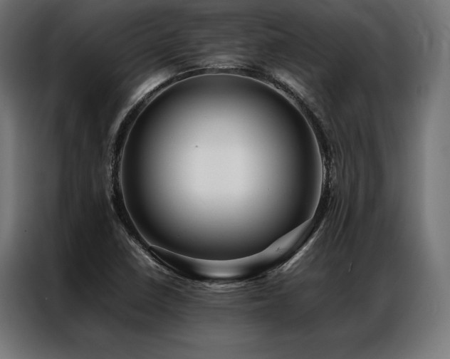 X0000087021410200704161553