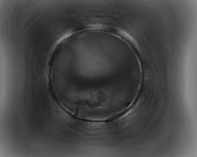 X0000087021411200704161553