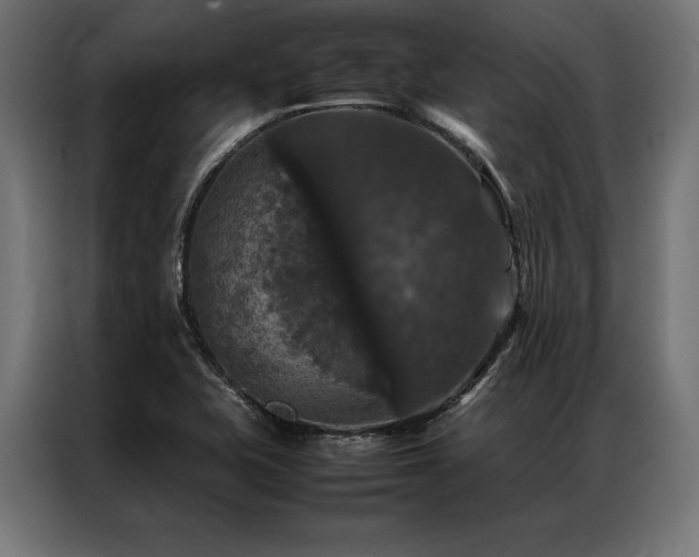 X0000087021415200704161553