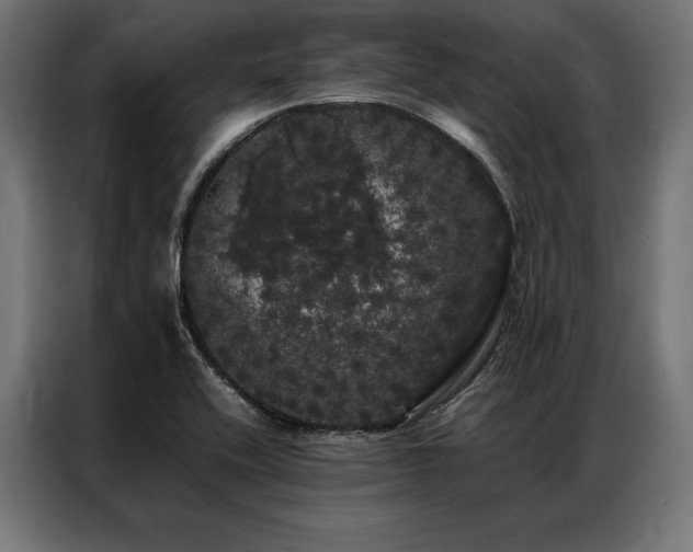 X0000087021416200704161553