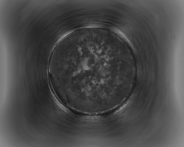 X0000087021417200704161553
