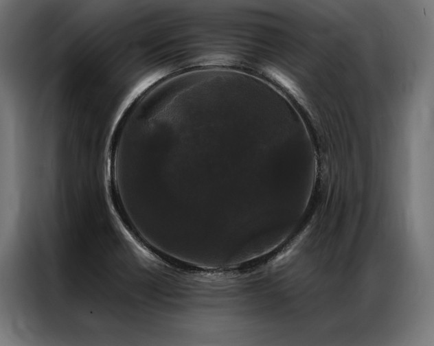 X0000087021418200704161553