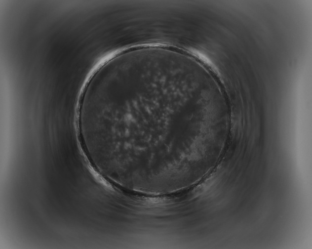 X0000087021421200704161553